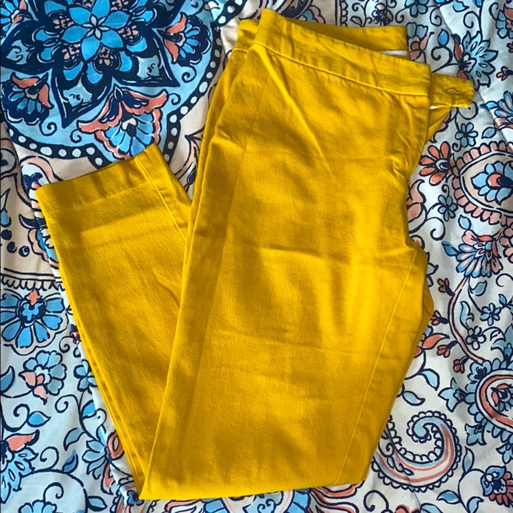 Pants